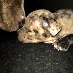 Meet your Posher, Breanna